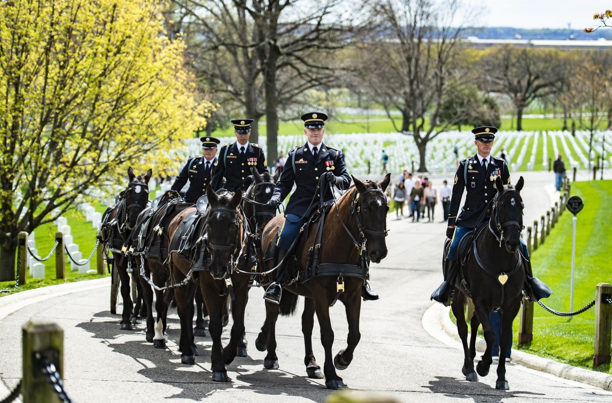 Families Wait to Bury Loved Ones Amid Suspension of Horse-Drawn Services 